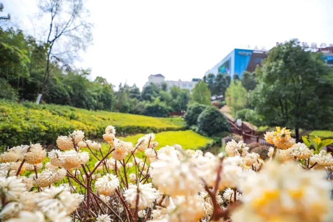 骑行打卡景点,湿地骑行观风景