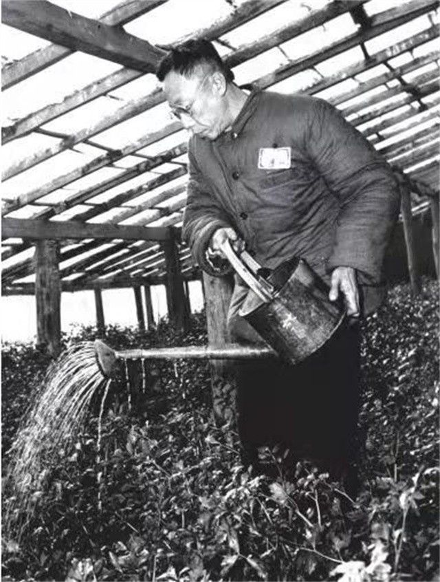 溥仪死后李淑贤继承了多少遗产,溥仪妻子李淑贤迁坟打官司了吗