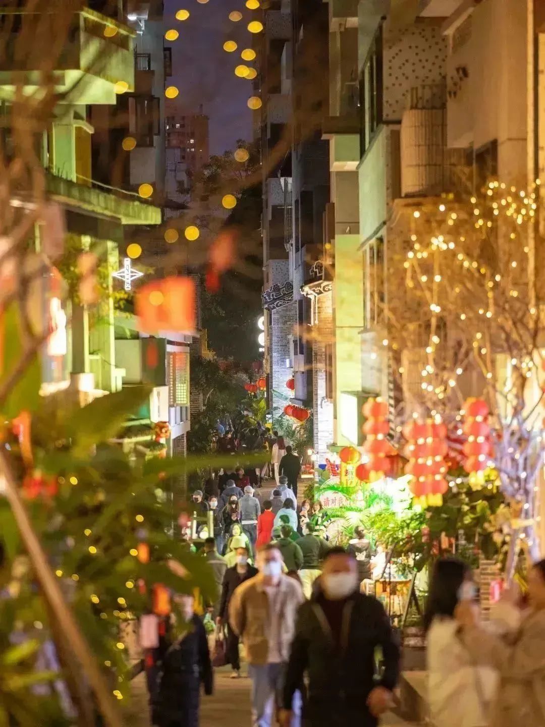 厦门深圳旅游攻略自由行,厦门和深圳游玩