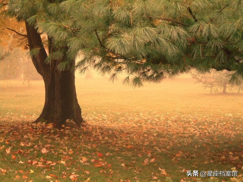 天蝎座城府很深的星座,天蝎座人品最好的三个星座