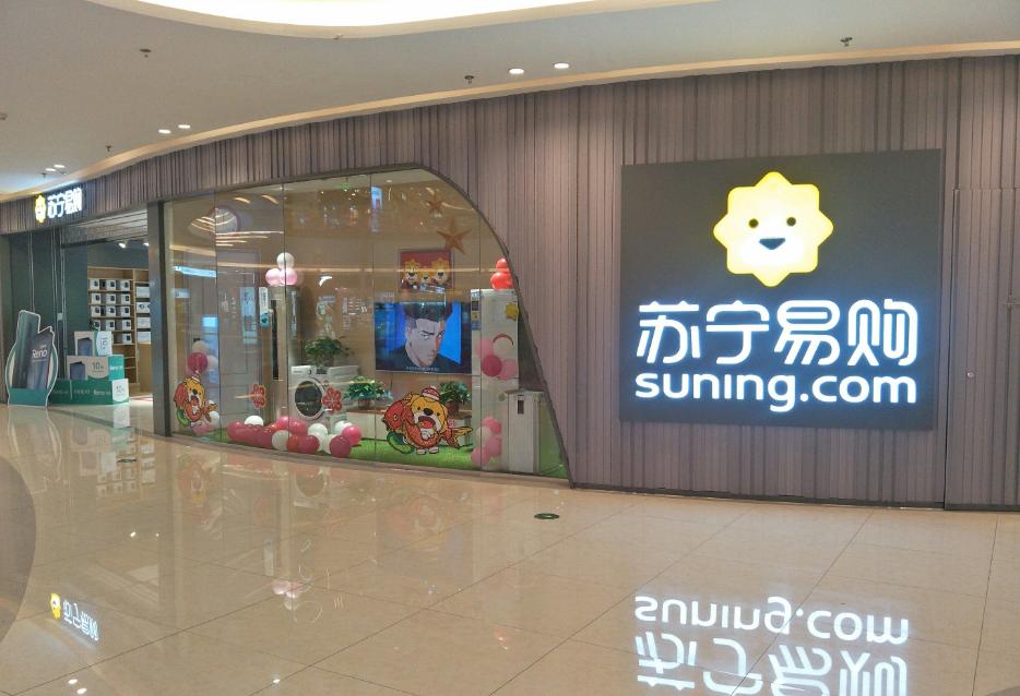 苏宁易购2018到2019财务报表分析,苏宁易购利润分配战略分析