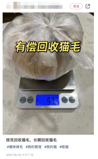捡垃圾赚钱有什么生意做,捡垃圾能做什么生意