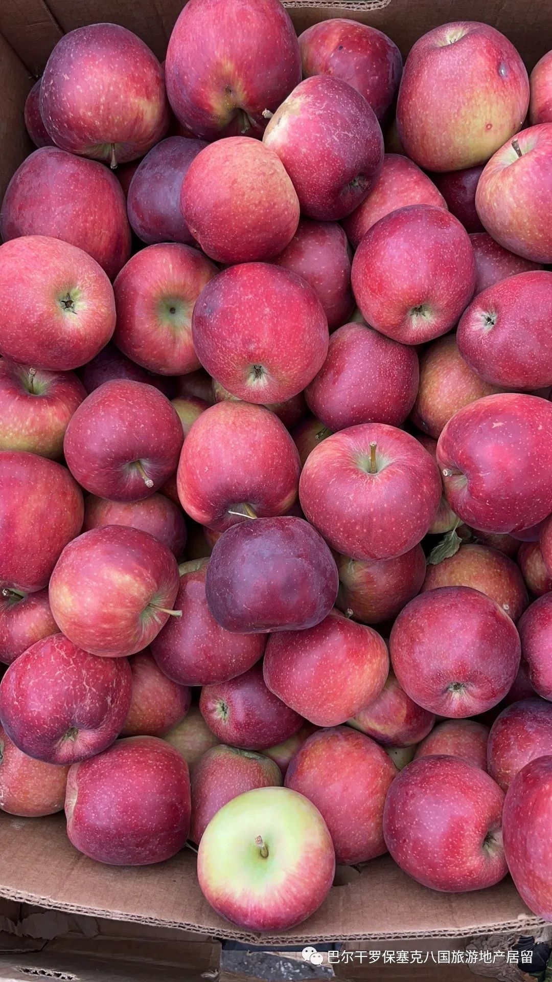 罗马尼亚蔬菜,罗马尼亚大型水果批发市场