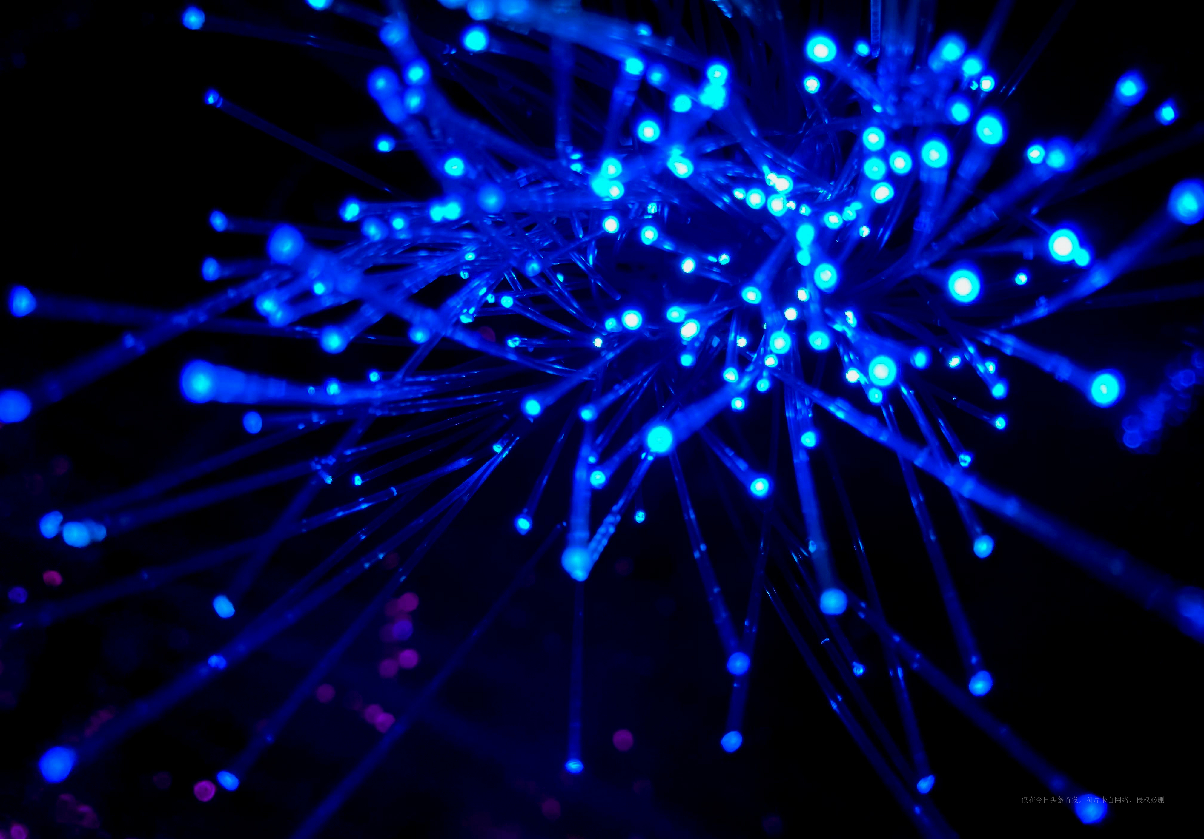 想要退宽带费,现在电信宽带还能办理吗