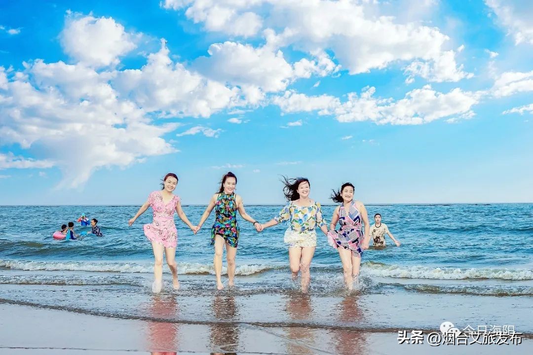 魅力海阳行,魅力新浦海阳