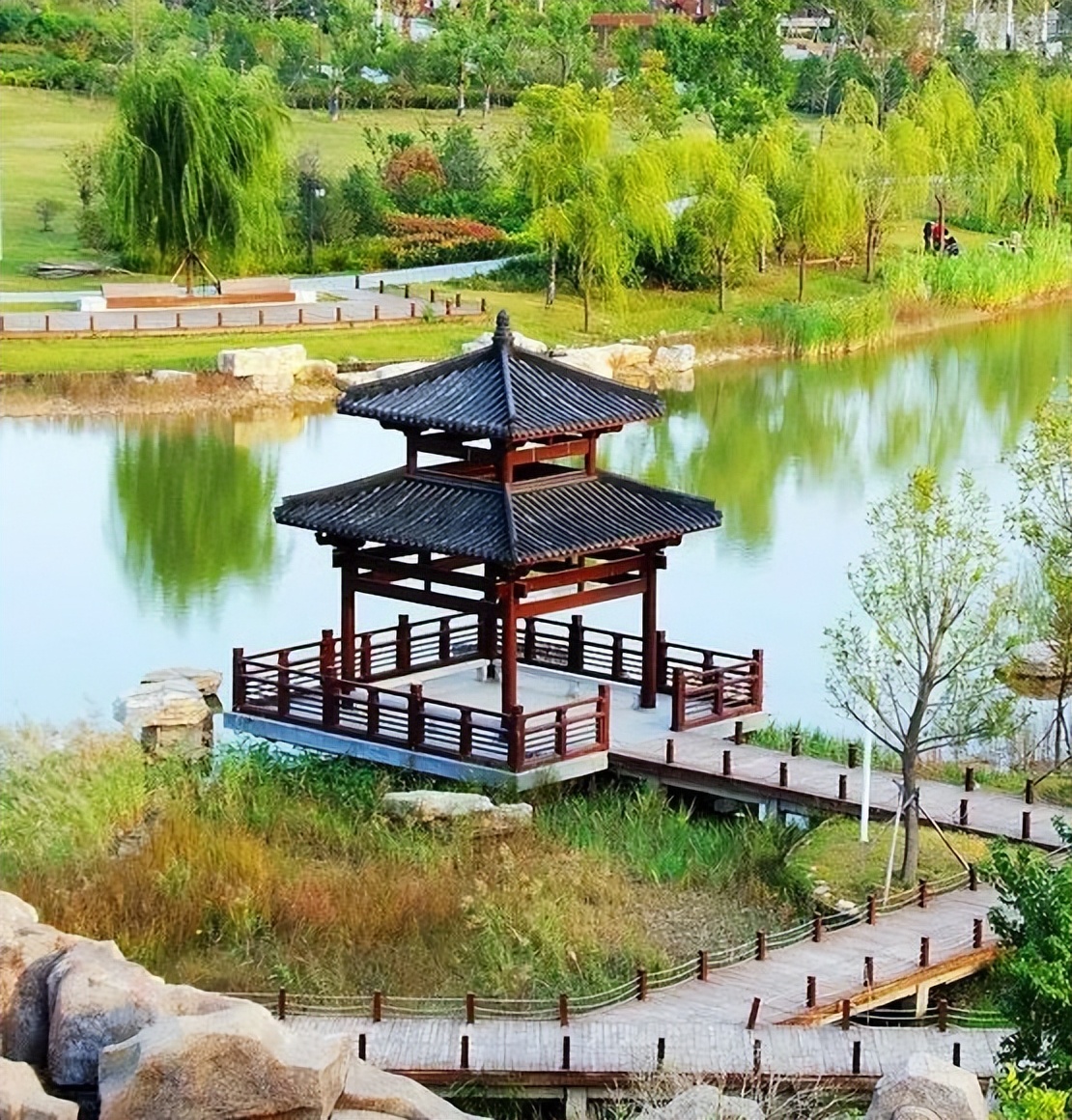 那年那兔那些年的故事,那年那兔那些事儿百年风云