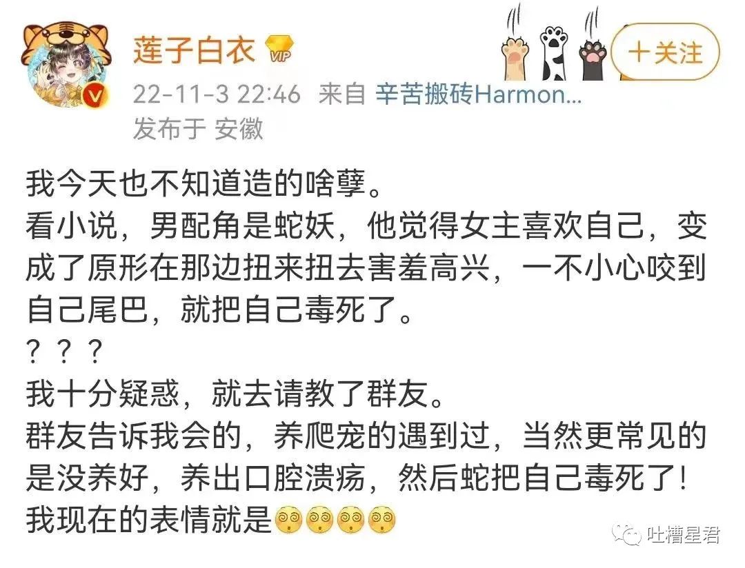 “男友花4200买Prada绿帽子？”网友笑疯：爷可以免费给别人戴