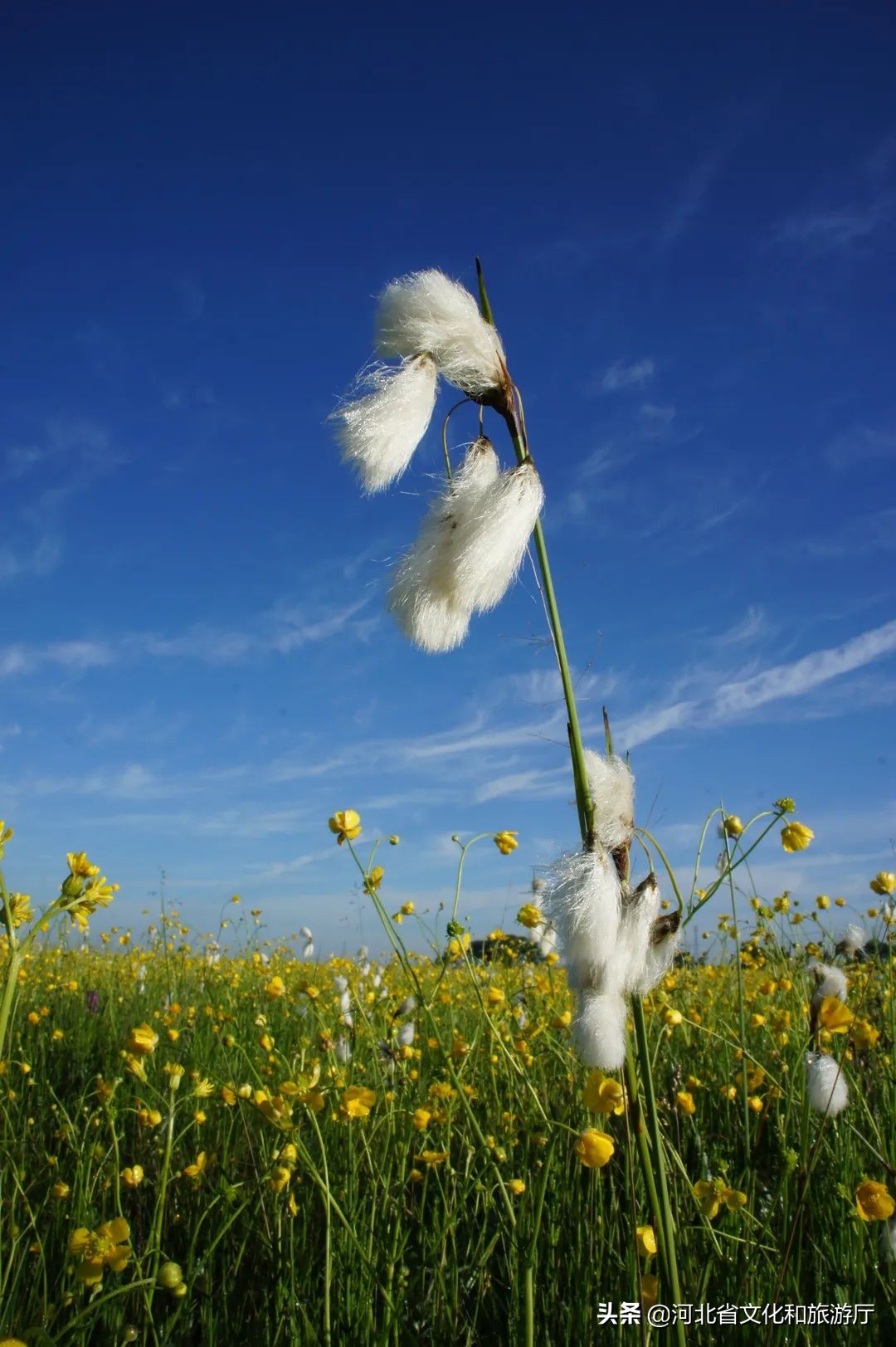 丰宁坝上草原京北第一天路视频,京北第一天路最好看的路