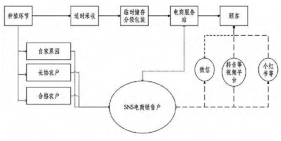 基于SNS社交电商的陕西周至猕猴桃销售研究