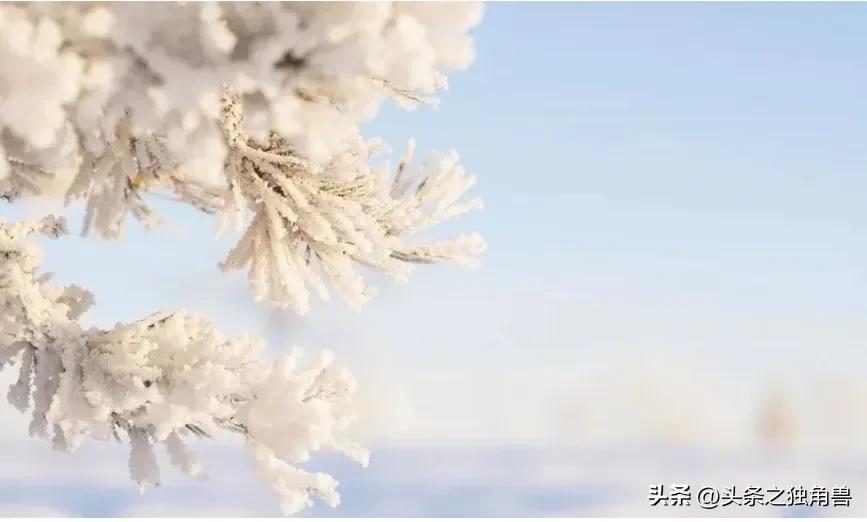 冬九九是什么,四九城什么含义