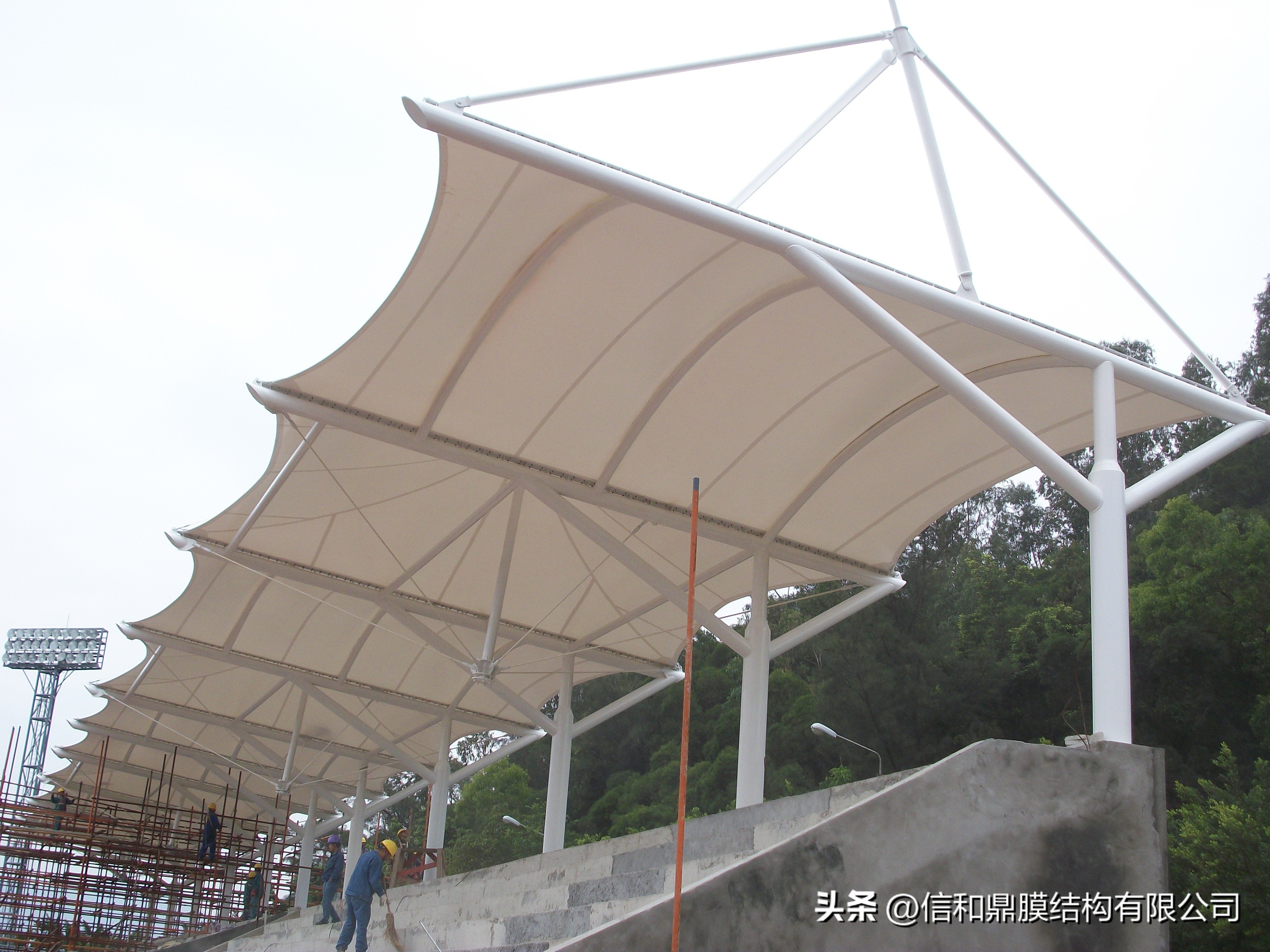 大连膜结构景观棚价格,大连膜结构体育场看台