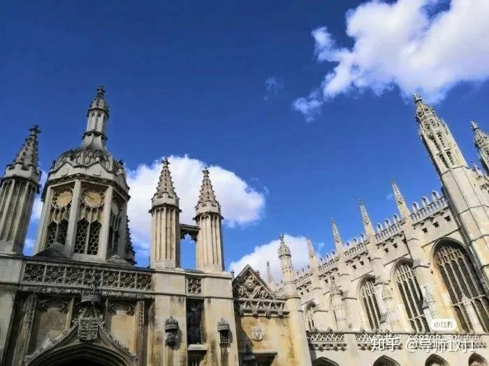 奇奇怪怪可可爱爱语录集,世界奇奇怪怪而你可可爱爱什么梗