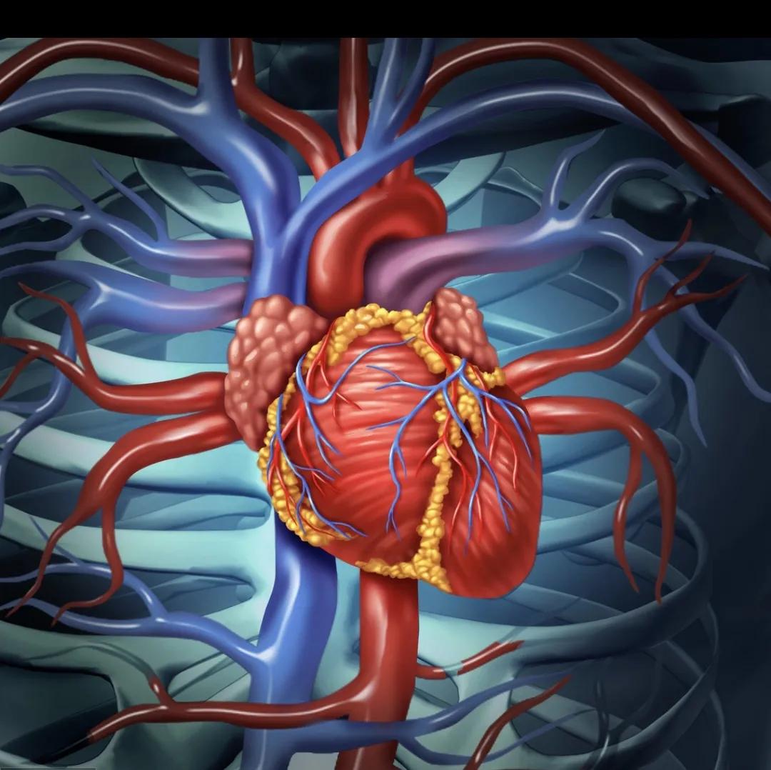 冠心病支架手术后肺会不好吗,冠心病做完支架后支架会移动吗