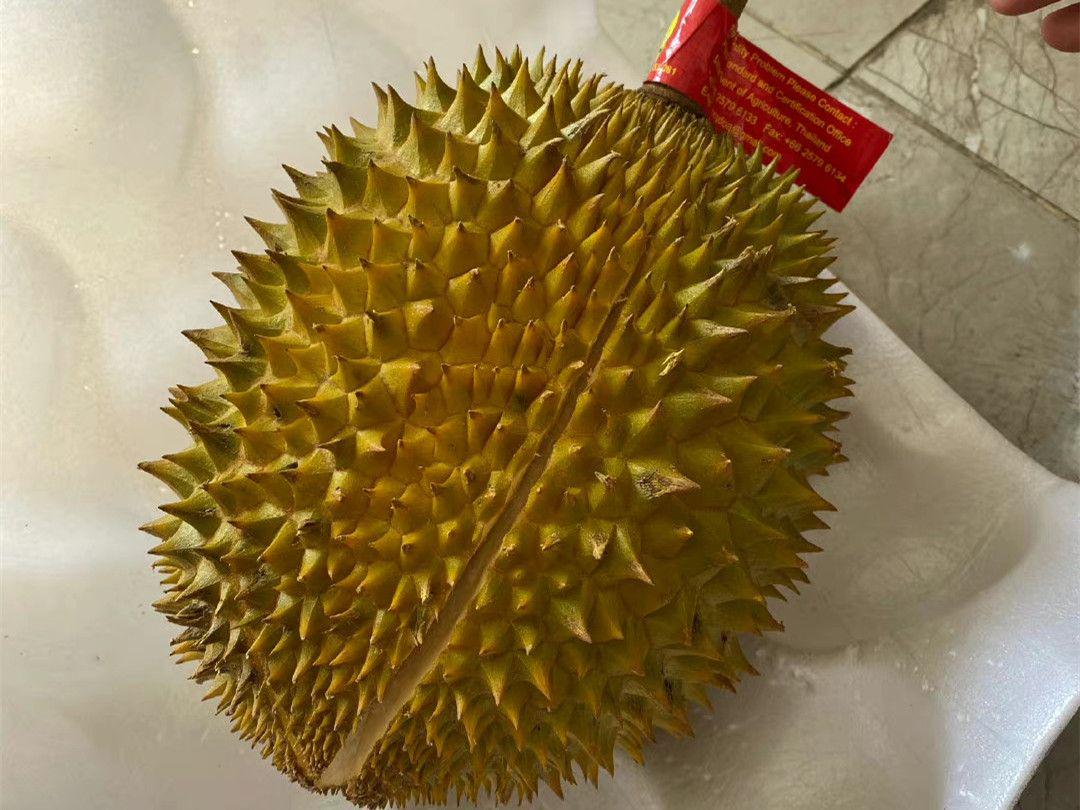 买榴莲买大还是小,如何区分树熟榴莲和普通榴莲