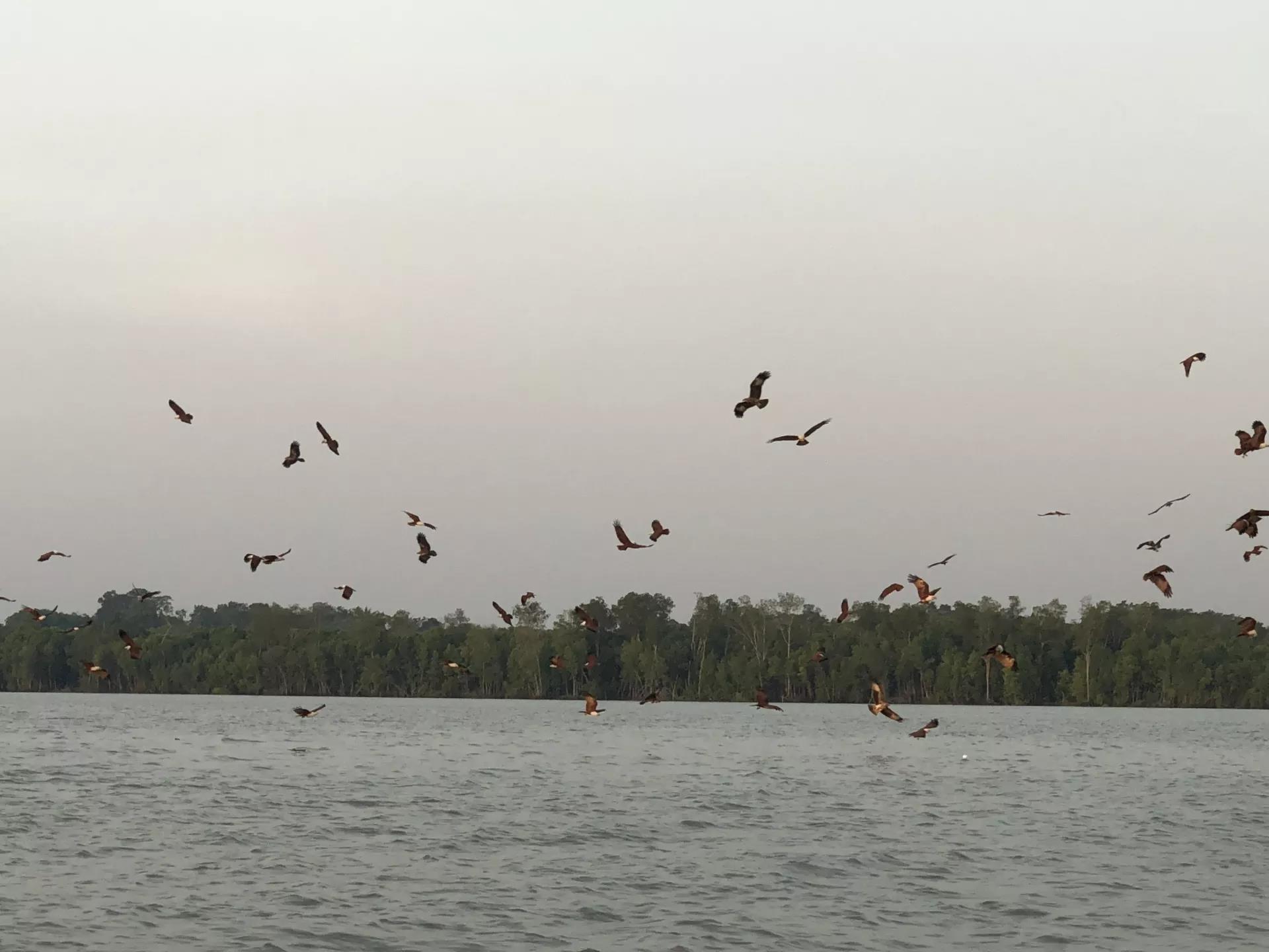 钱猫猫王者荣耀,钱猫猫的视频