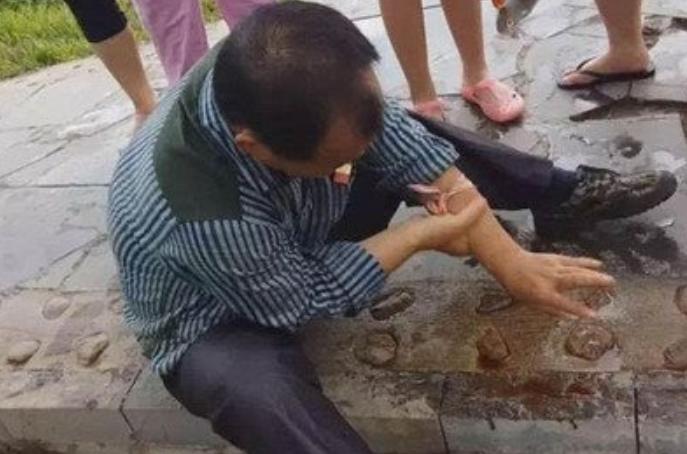 在野外遇到毒蛇怎么办,在野外遇到蟒蛇该怎么办