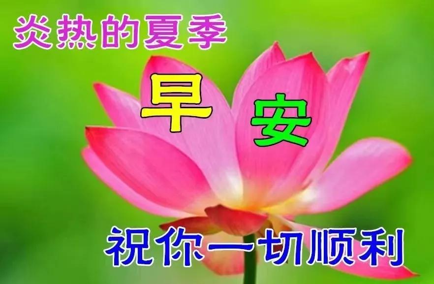 最新版早上好最漂亮表情图片,精美早上好动态表情最新版