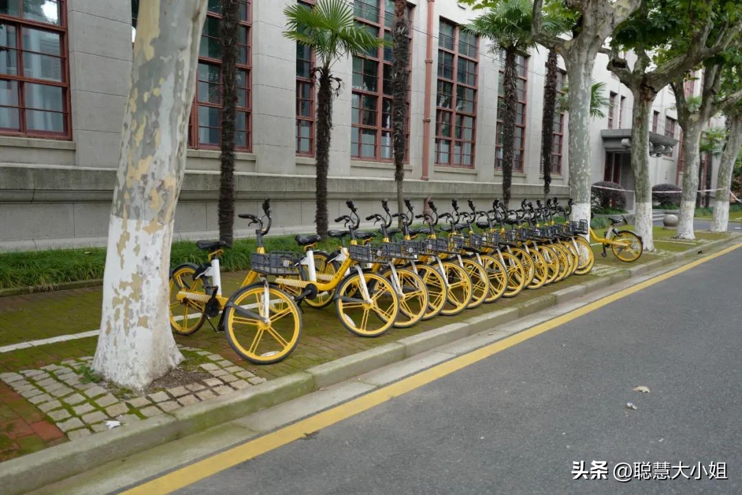 去这条充满松弛感的“小马路”，慵懒地溜达一天才是正经事