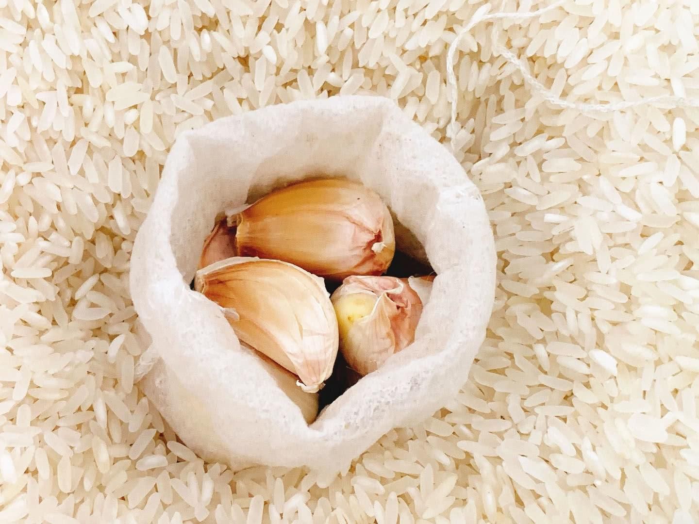 厨房里的养花神器,厨房适合养花的肥料