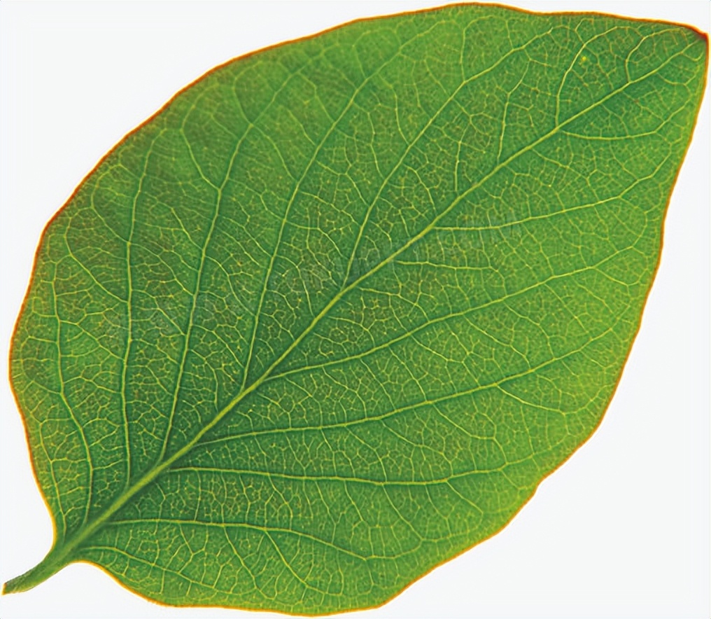 在房车里上厕所没有纸,上厕所没有带纸怎么办