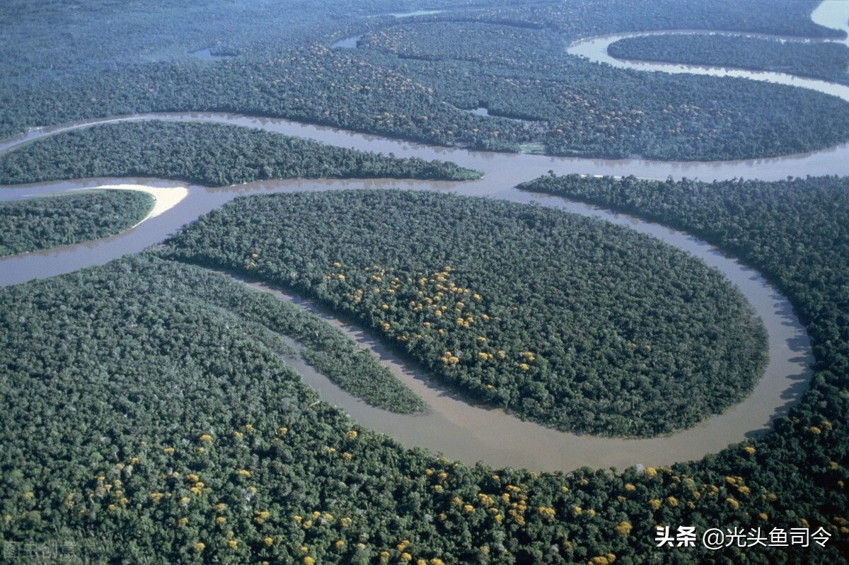 亚马逊河为什么被称为人类禁区,亚马逊河到底有多可怕
