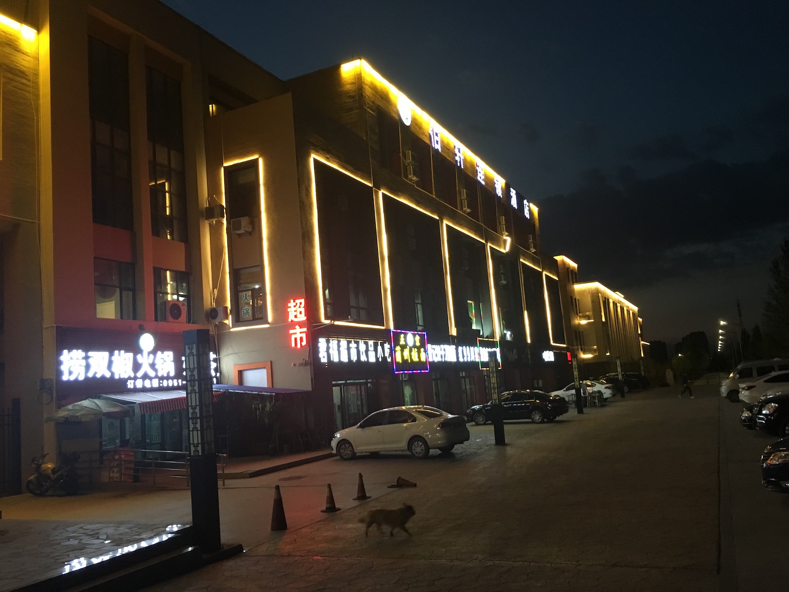 北京自驾额济纳胡杨林十天攻略,从北京到额济纳胡杨林线路