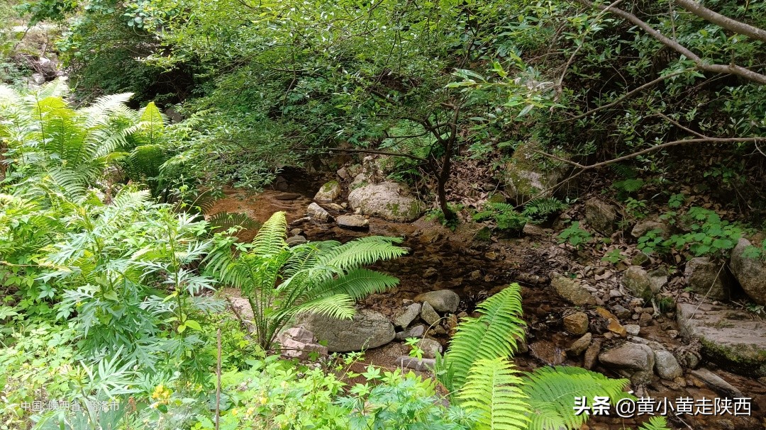 西安秦岭沣峪口夏季避暑去处,西安秦岭沣峪口附近哪里凉快