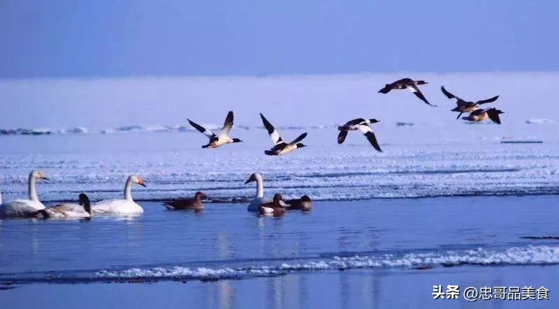 日落晚霞映照九曲十八弯,日落黄昏的九曲十八弯