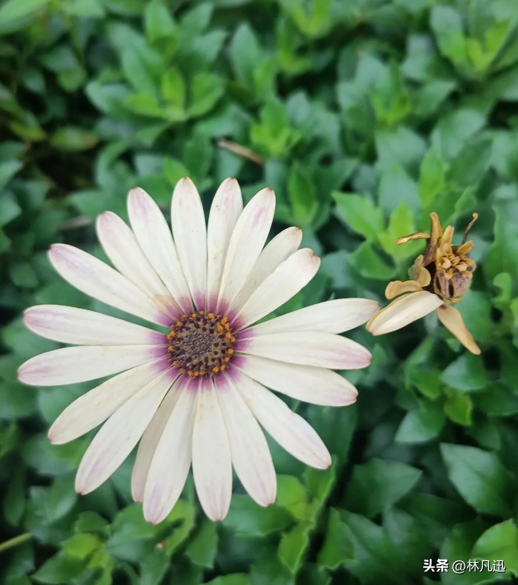 怎么投资股票长期持有,如何做到长期持股毫不恐惧