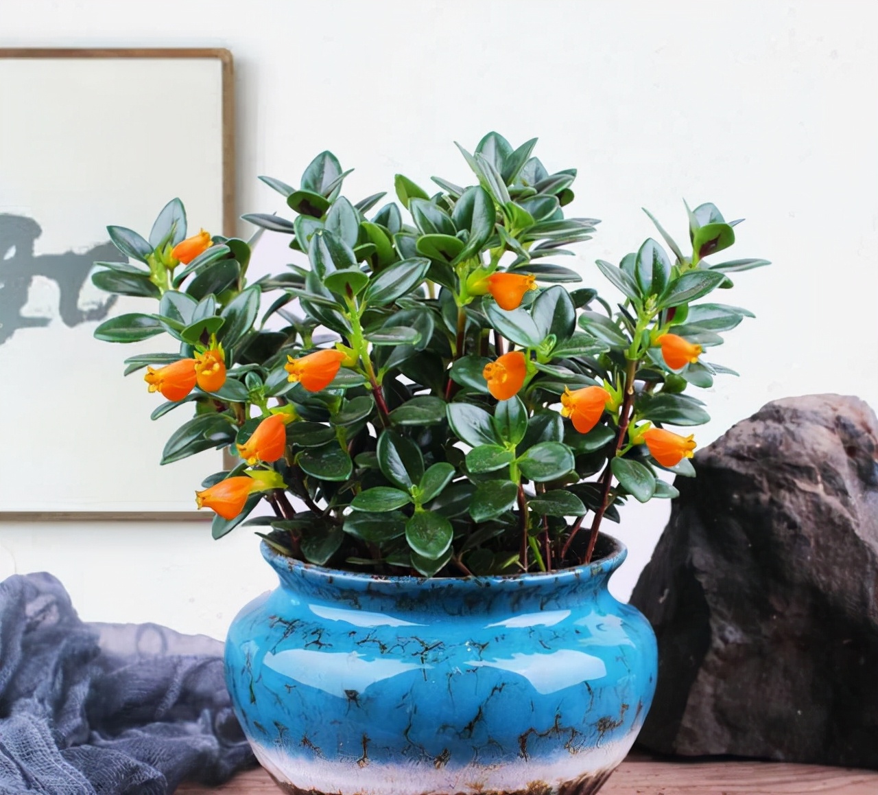 什么花寓意发财好运吉祥,寓意平安招财鸿运的干花