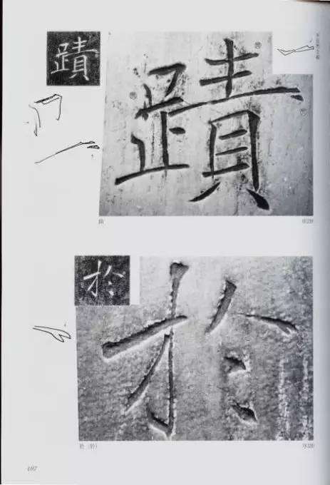 宸ョ瑪鐢绘潹鏅箟鐢诲唽,鏉滈箖鏉ㄦ櫘涔夊畬鏁寸増