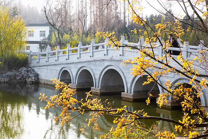 豫南一县城冒出“苏州园林”，盛世造园杰作入选中国园林精品范例