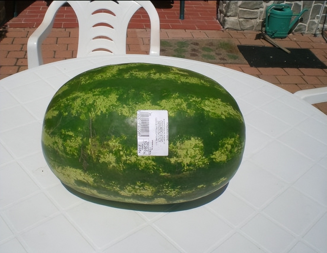 一欧元在荷兰买什么,意大利欧元现在多少钱