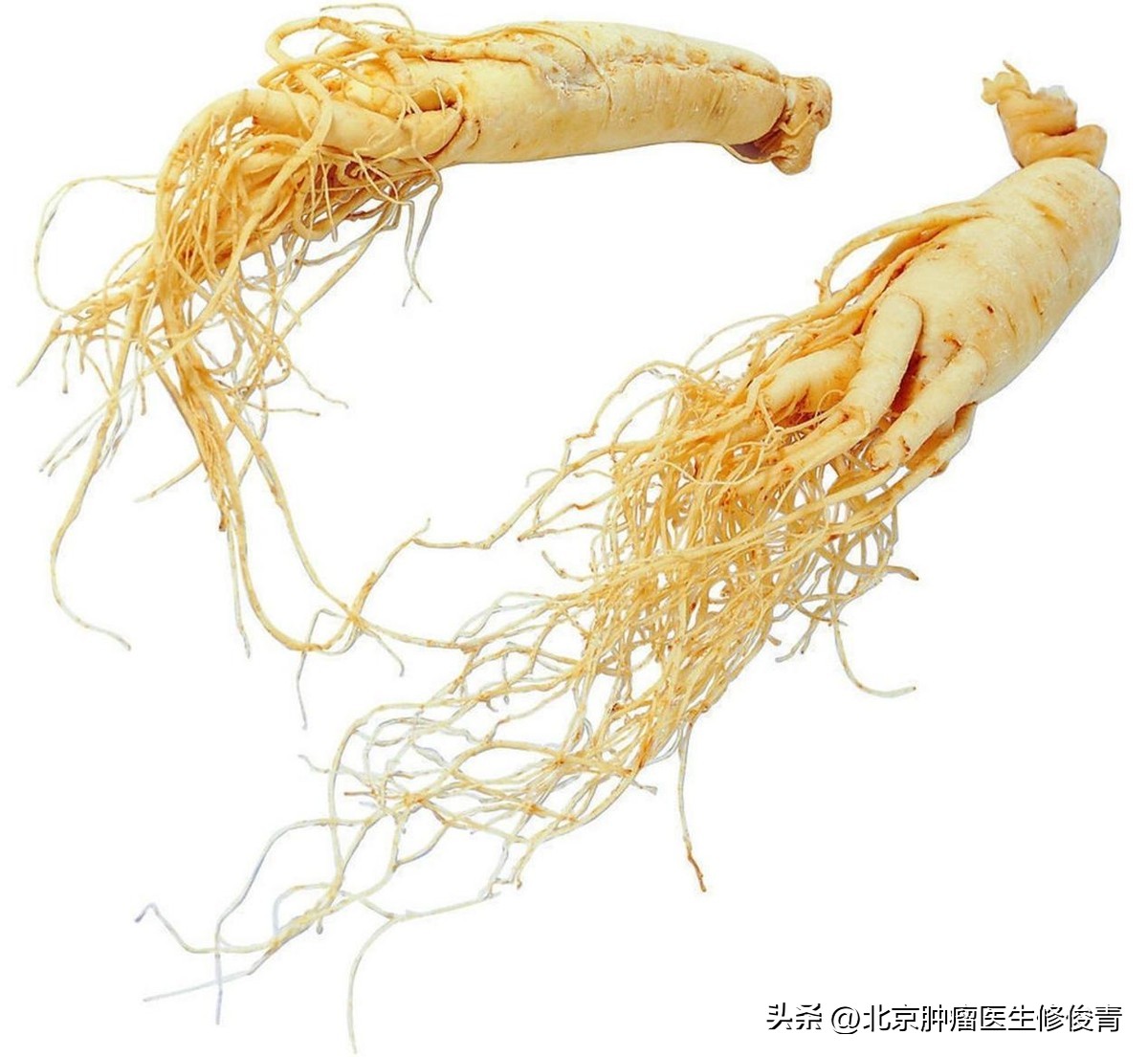 治疗乳腺增生散结的中成药,中医治疗乳腺增生验方