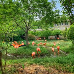 青岛十大热门景点,青岛市内旅游十大必去景点