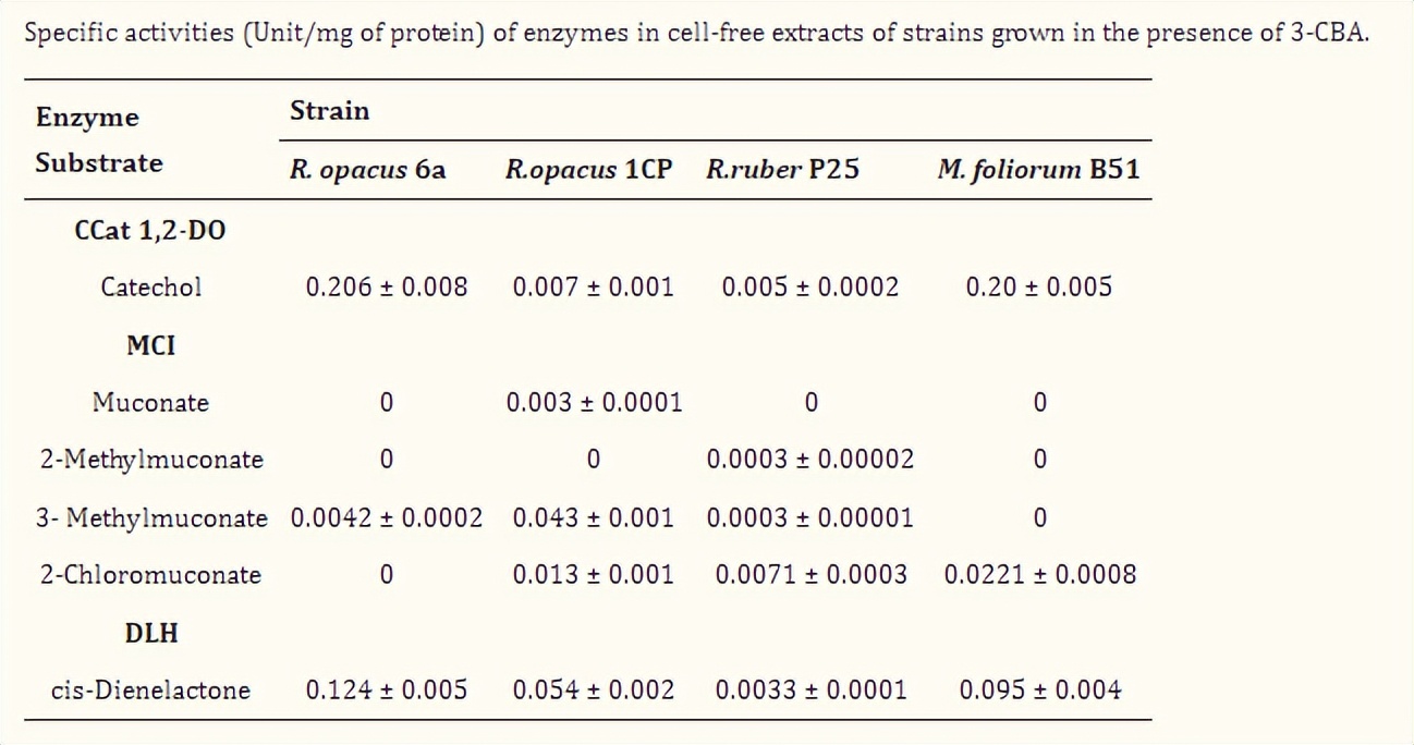 放线菌菌剂的作用包括哪些,放线菌代谢产物的作用