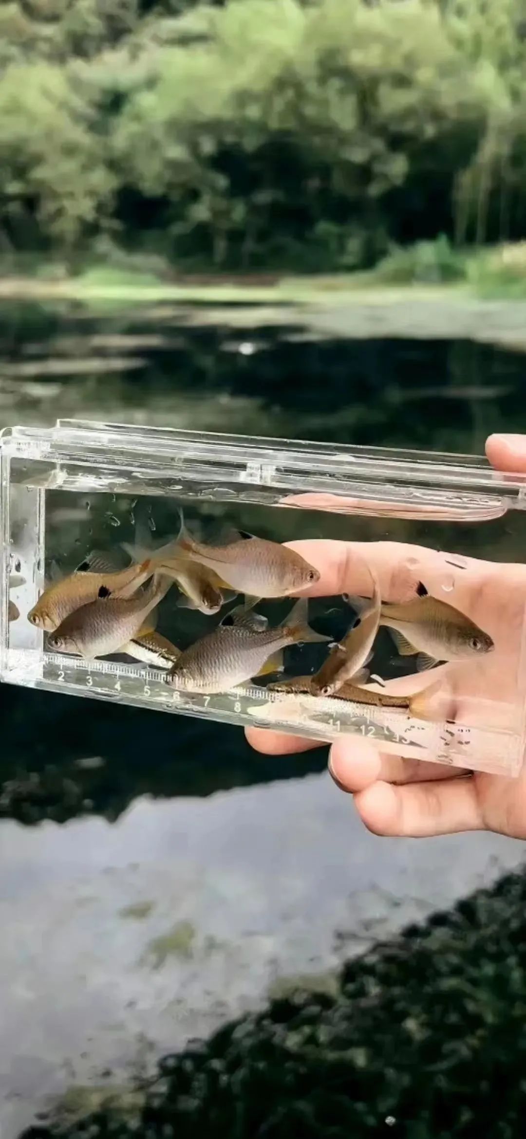 卡通背景素材可爱,可爱卡通聊天背景图片