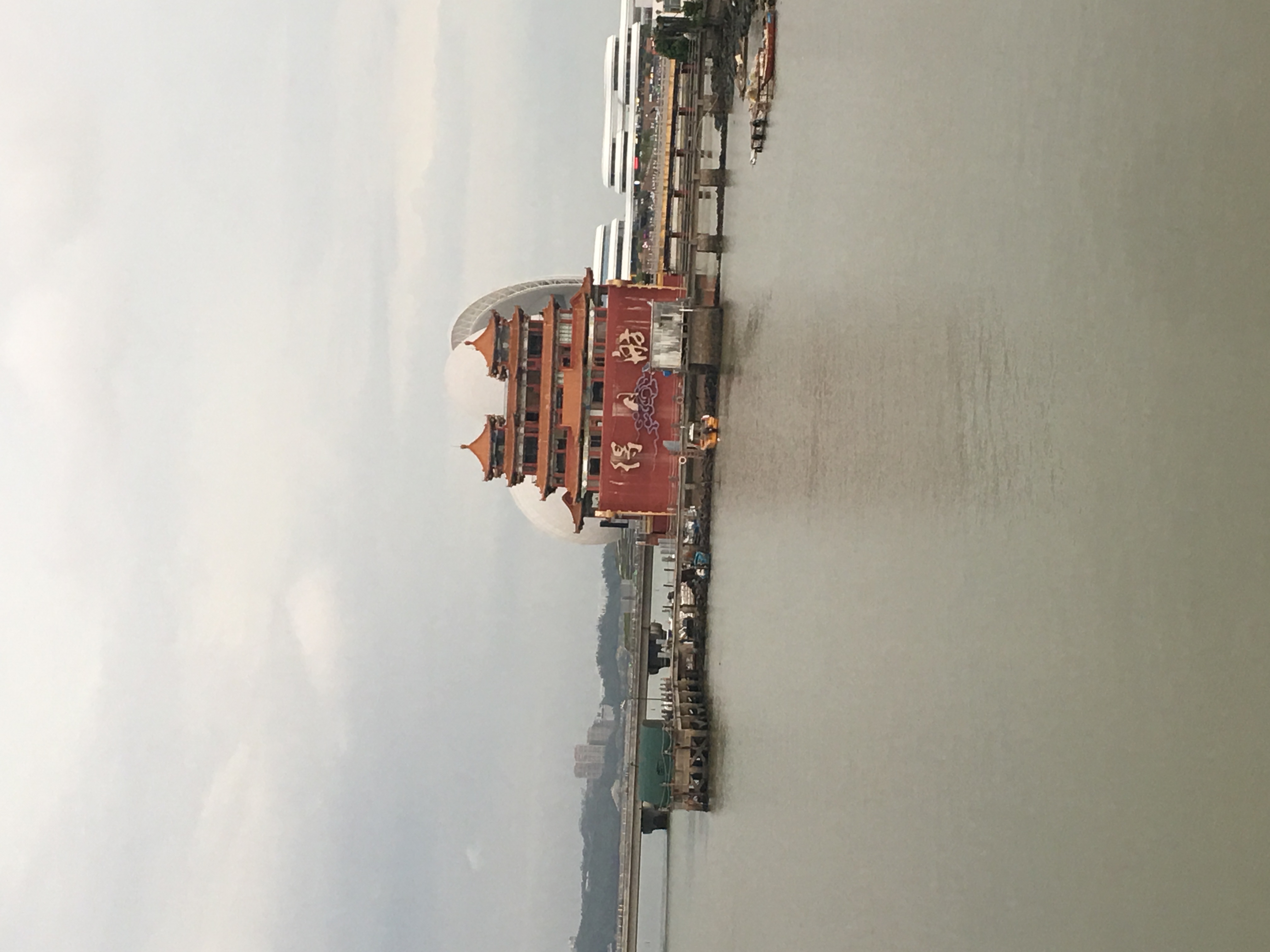 情迷珠海，最美海狸鸟