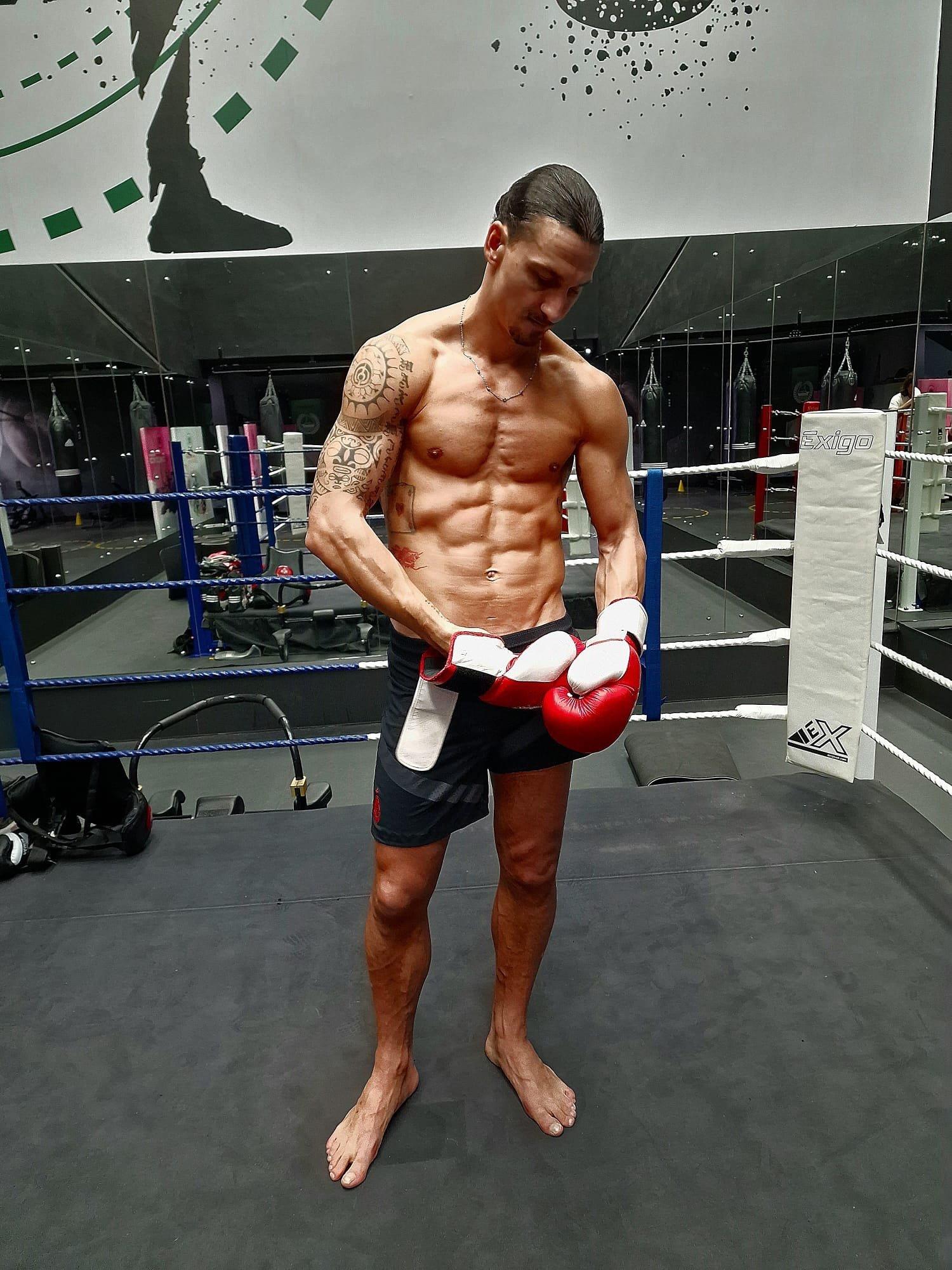 伊布腹肌图片,伊布腹肌照