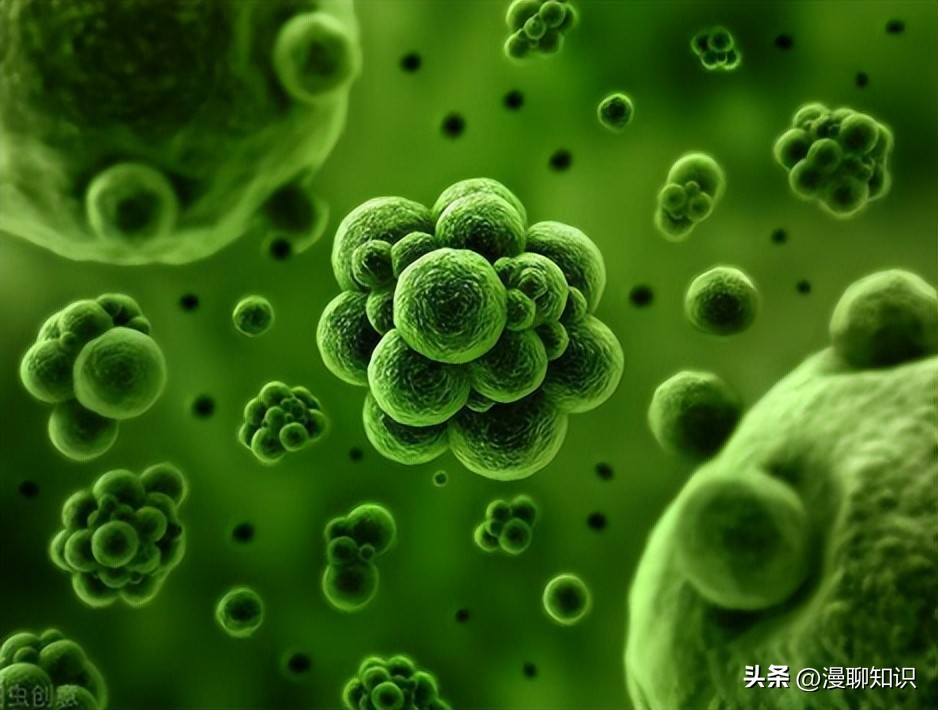 马传染性子宫炎传染性较强，它的传播途径有哪些