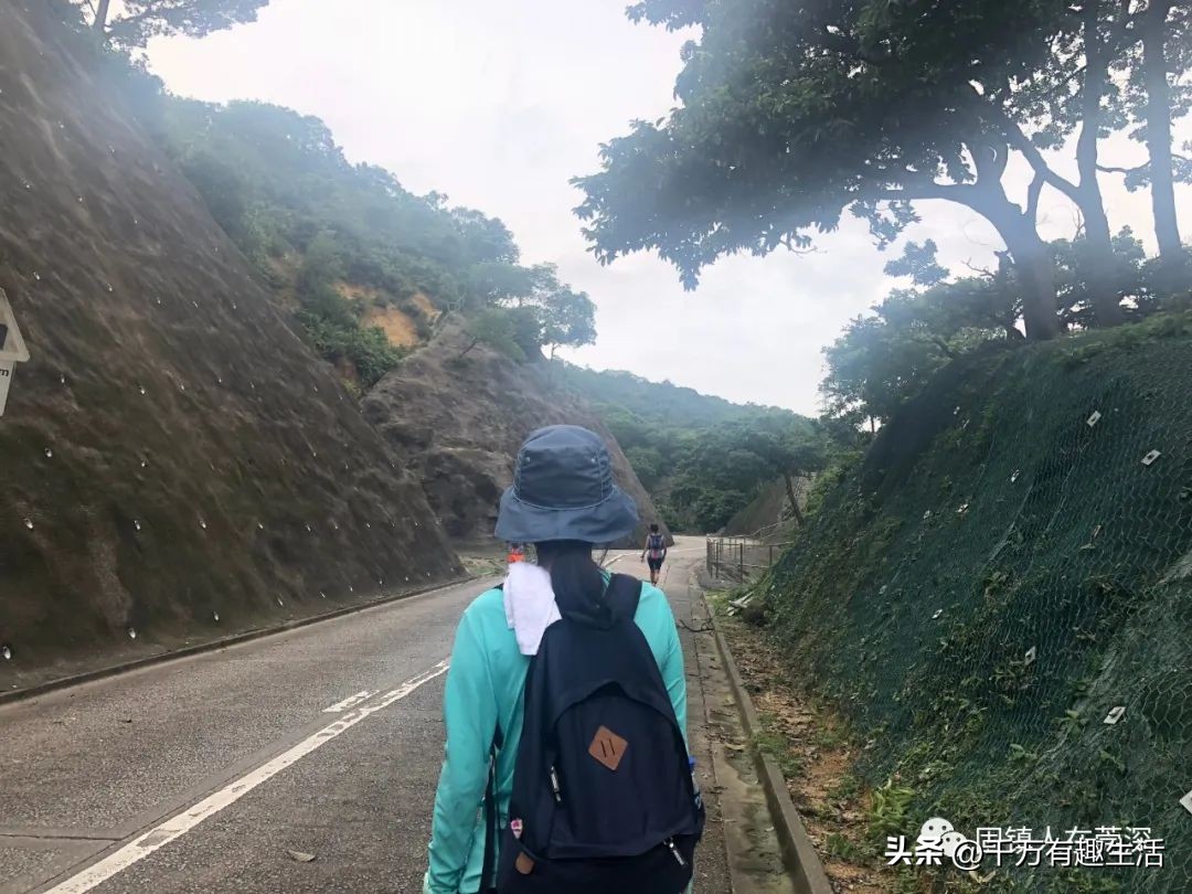 香港徒步麦理浩径全程攻略介绍,香港狮子山徒步攻略