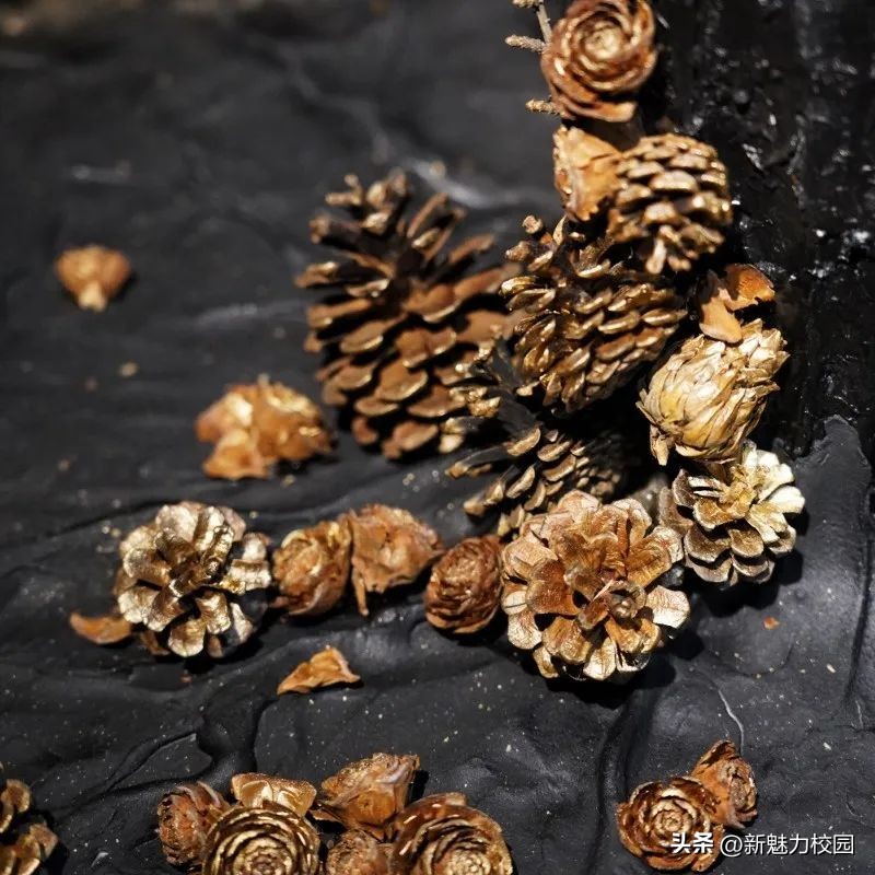 南京艺术学院毕业设计2017,南京视觉艺术职业学院毕业展