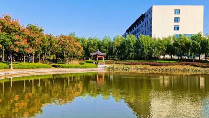 山中医的五行之美