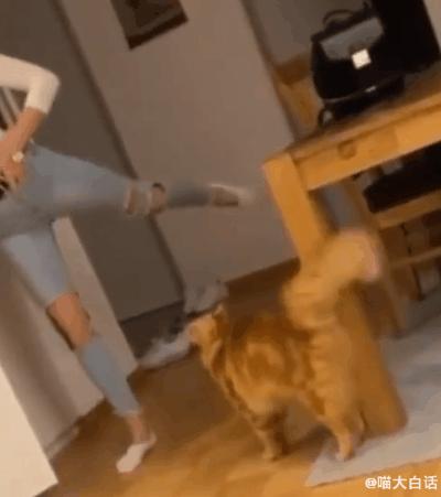 不要乱起淘宝名字,淘宝名字不能随便取