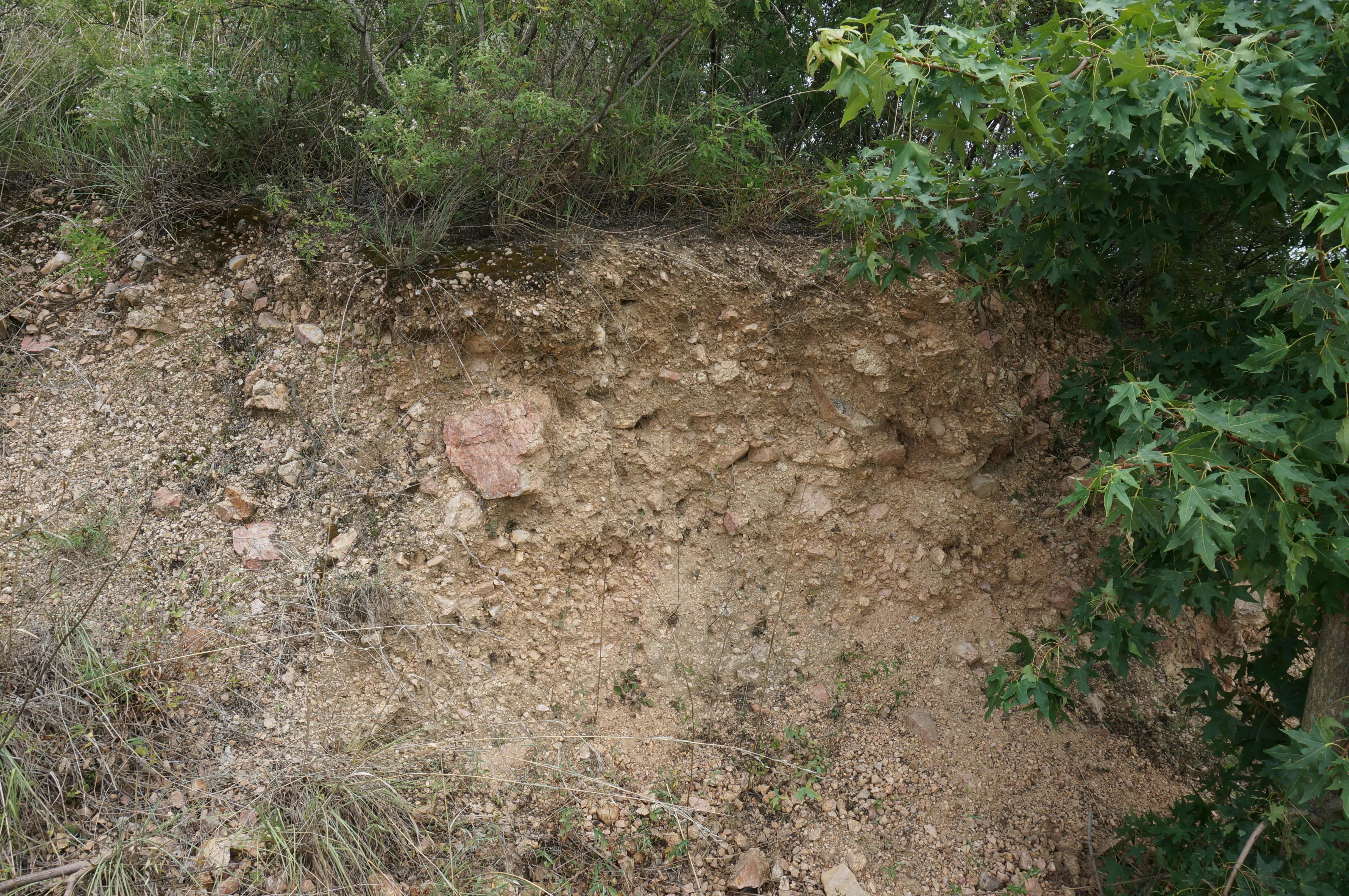 双泉镇小马山“土龙”的历史谜团