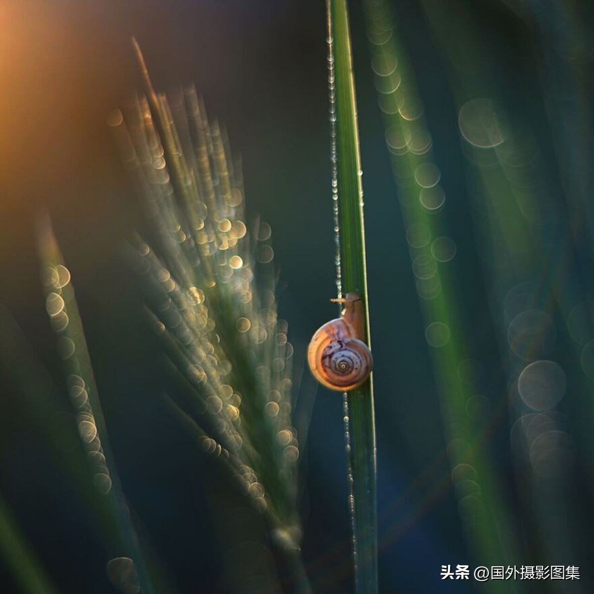 秋天最美大自然图片,春天最美的三十六张照片