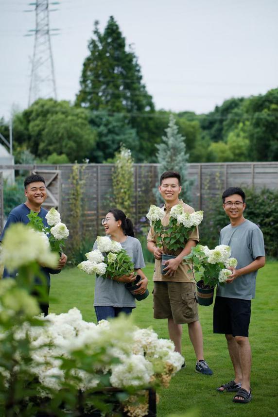 园艺电商怎么做好营销工作,园艺电商怎么做好营销