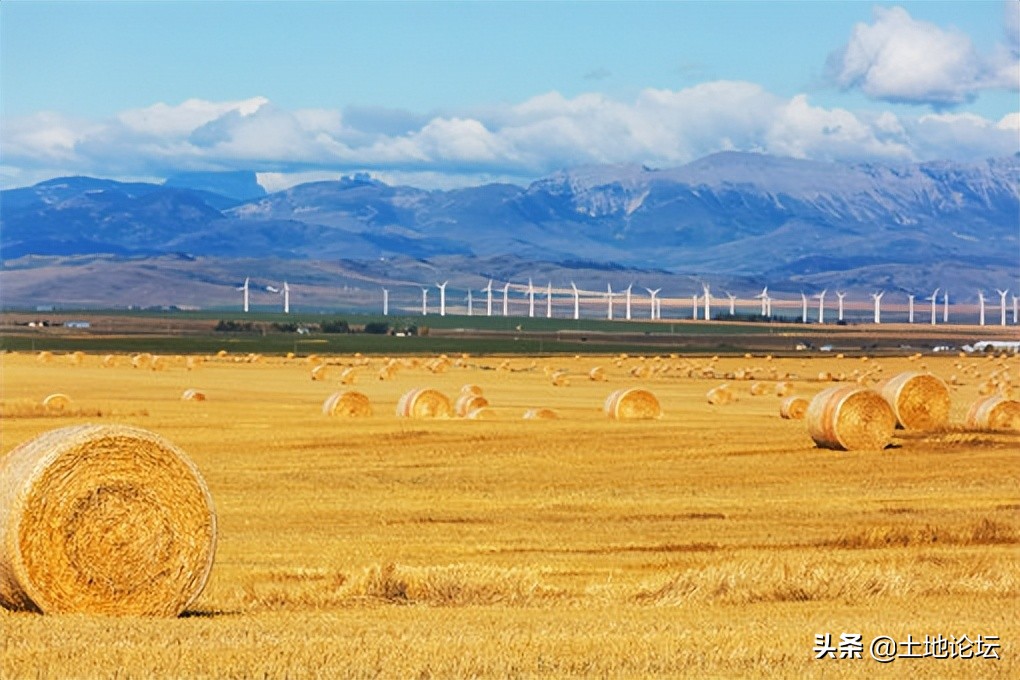 国家扶持农村创业项目大全,农村创业最新项目有哪些