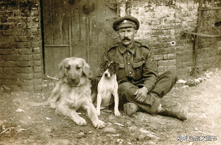 没有黄油，只有大炮：饥饿的后方