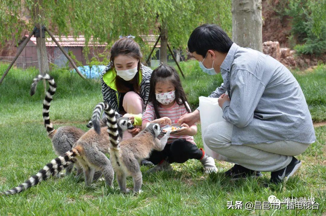 总要来趟潍坊昌邑吧！